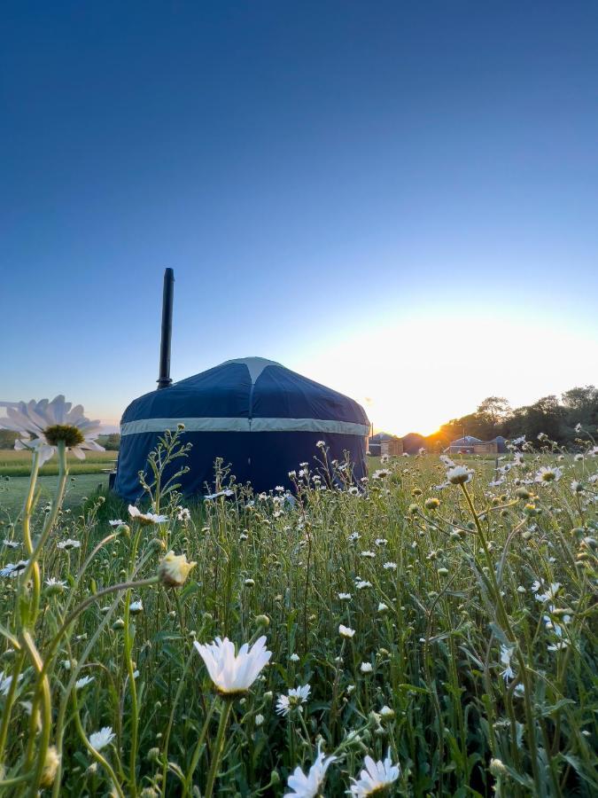 Wild Meadow, Lodge Farm, East Raynham フェイクナム エクステリア 写真