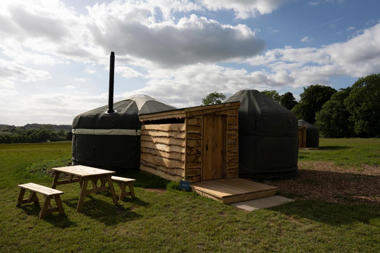 Wild Meadow, Lodge Farm, East Raynham フェイクナム エクステリア 写真