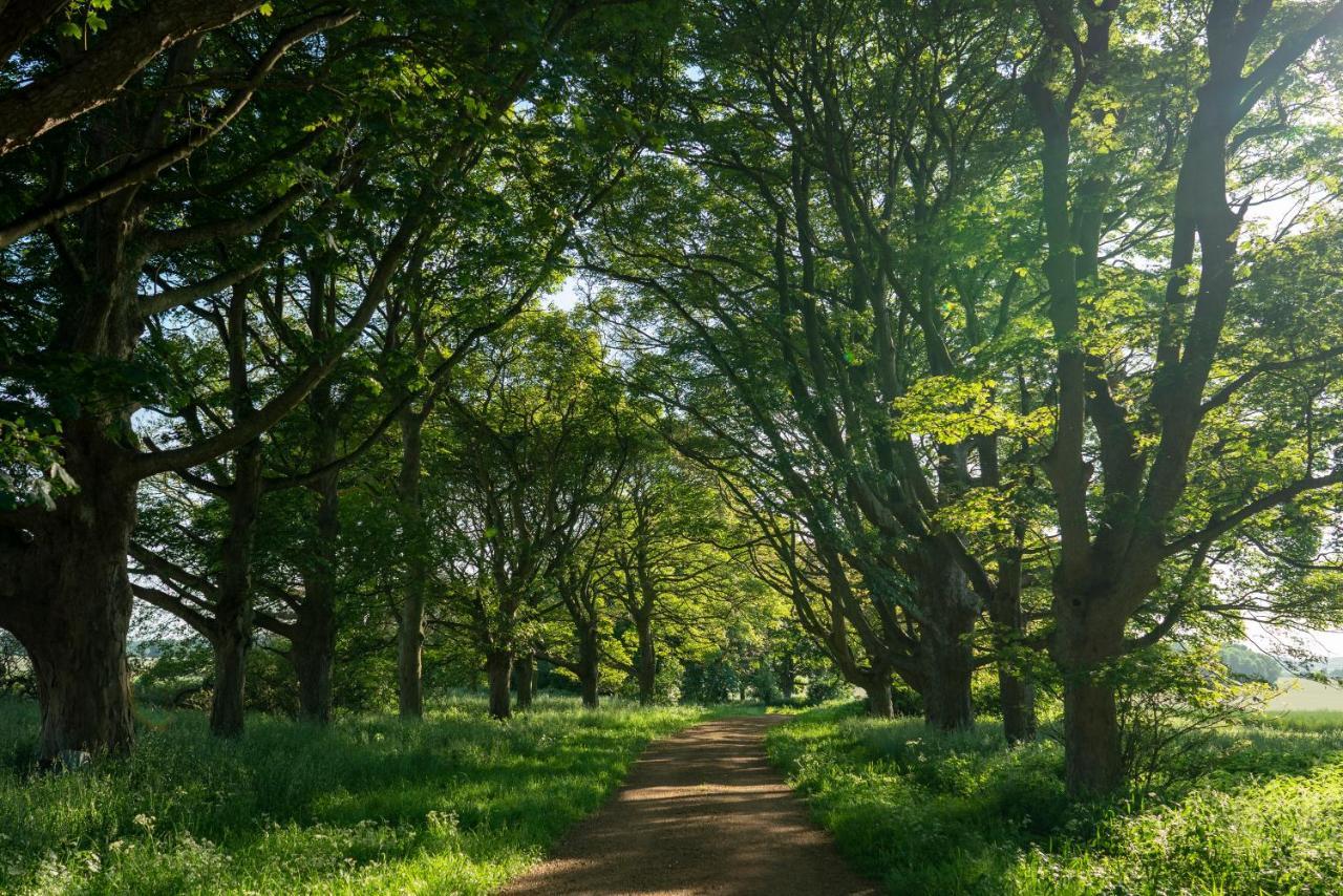 Wild Meadow, Lodge Farm, East Raynham フェイクナム エクステリア 写真