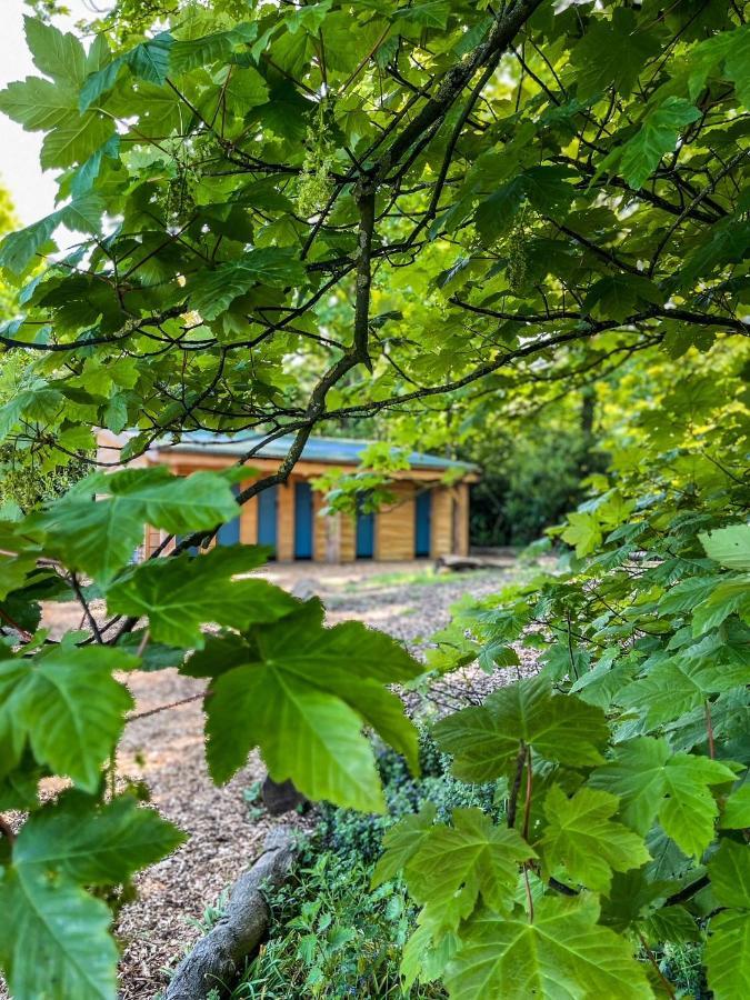 Wild Meadow, Lodge Farm, East Raynham フェイクナム エクステリア 写真