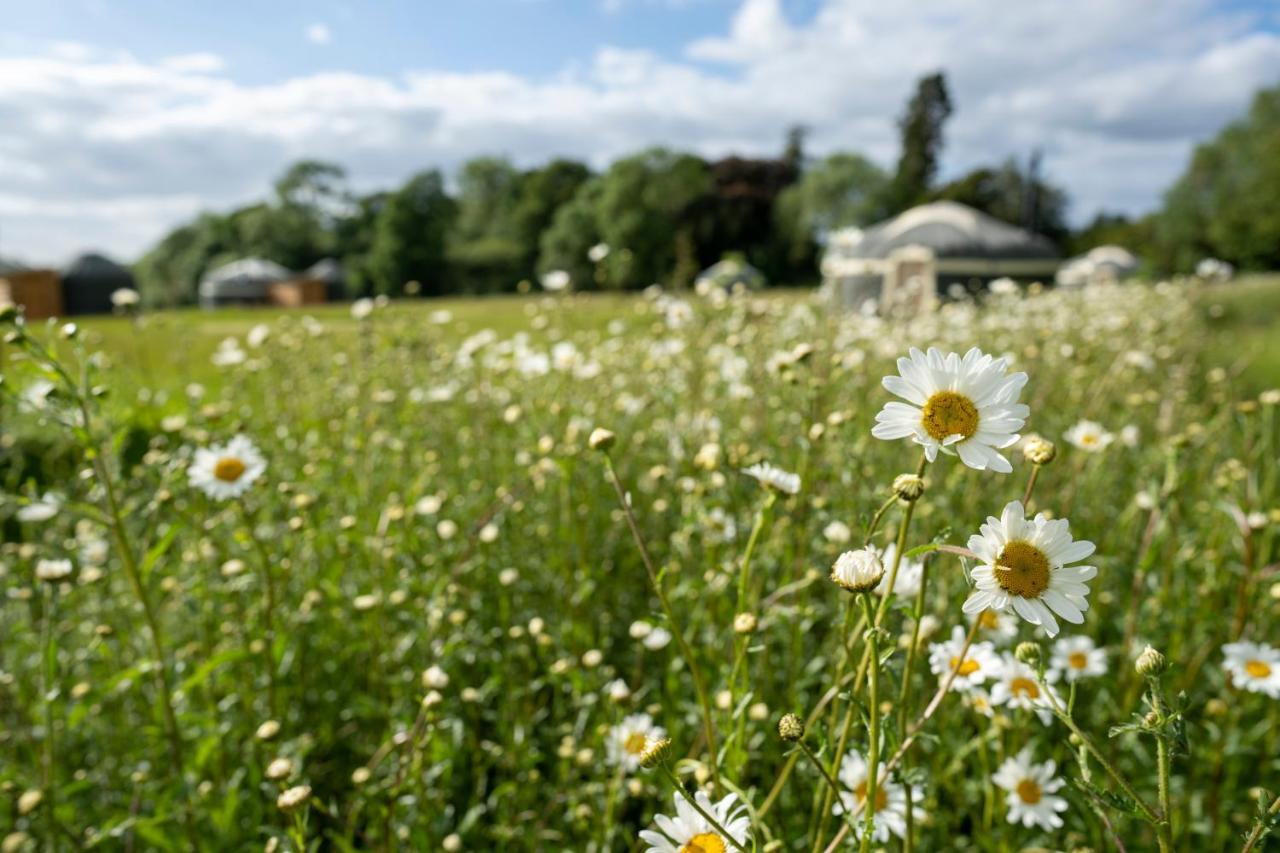 Wild Meadow, Lodge Farm, East Raynham フェイクナム エクステリア 写真