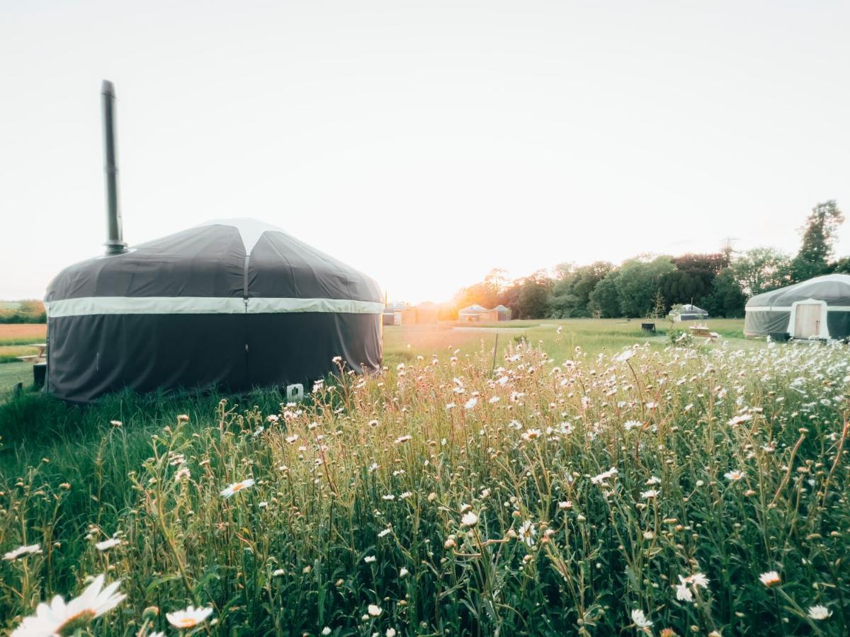 Wild Meadow, Lodge Farm, East Raynham フェイクナム エクステリア 写真