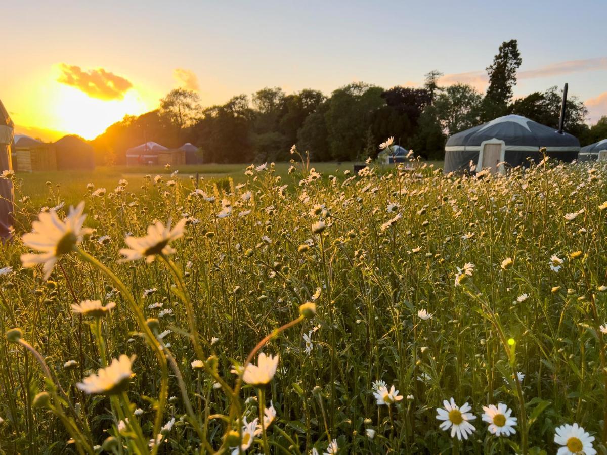 Wild Meadow, Lodge Farm, East Raynham フェイクナム エクステリア 写真