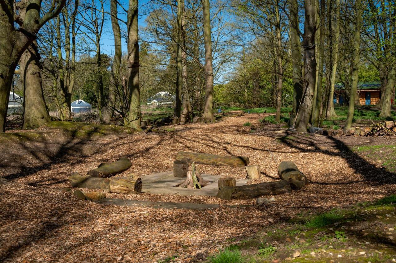 Wild Meadow, Lodge Farm, East Raynham フェイクナム エクステリア 写真